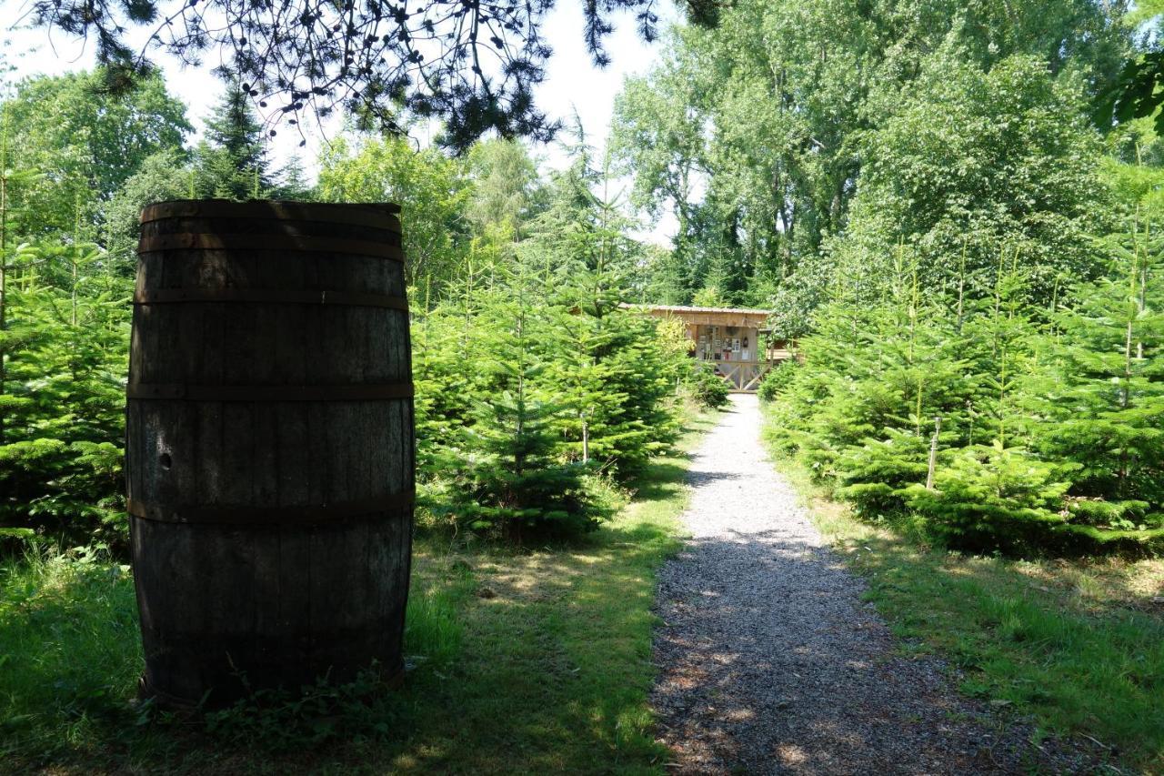 Levaltipis Hotel Saint-Gâtien-des-Bois Buitenkant foto