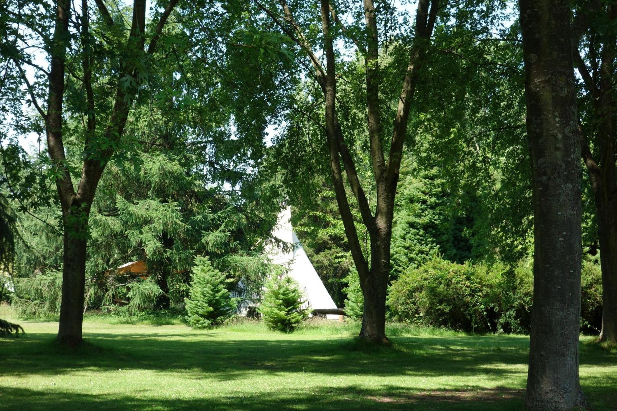Levaltipis Hotel Saint-Gâtien-des-Bois Buitenkant foto