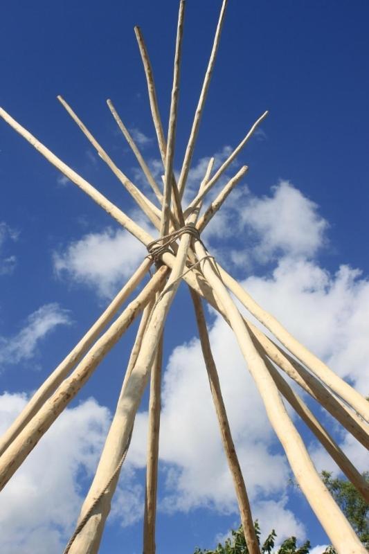 Levaltipis Hotel Saint-Gâtien-des-Bois Kamer foto
