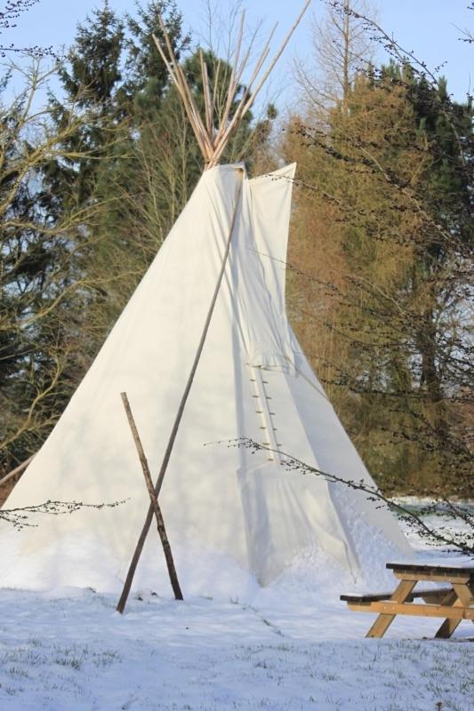 Levaltipis Hotel Saint-Gâtien-des-Bois Kamer foto