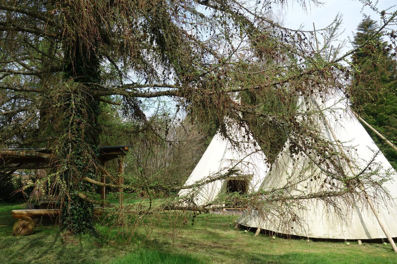 Levaltipis Hotel Saint-Gâtien-des-Bois Buitenkant foto