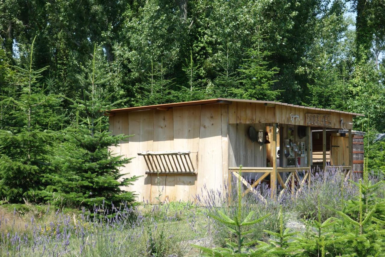 Levaltipis Hotel Saint-Gâtien-des-Bois Buitenkant foto